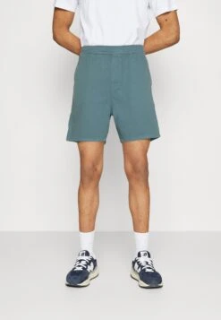 Kaotiko Berm. Carpenter Unisex - Shorts - Pale Blue